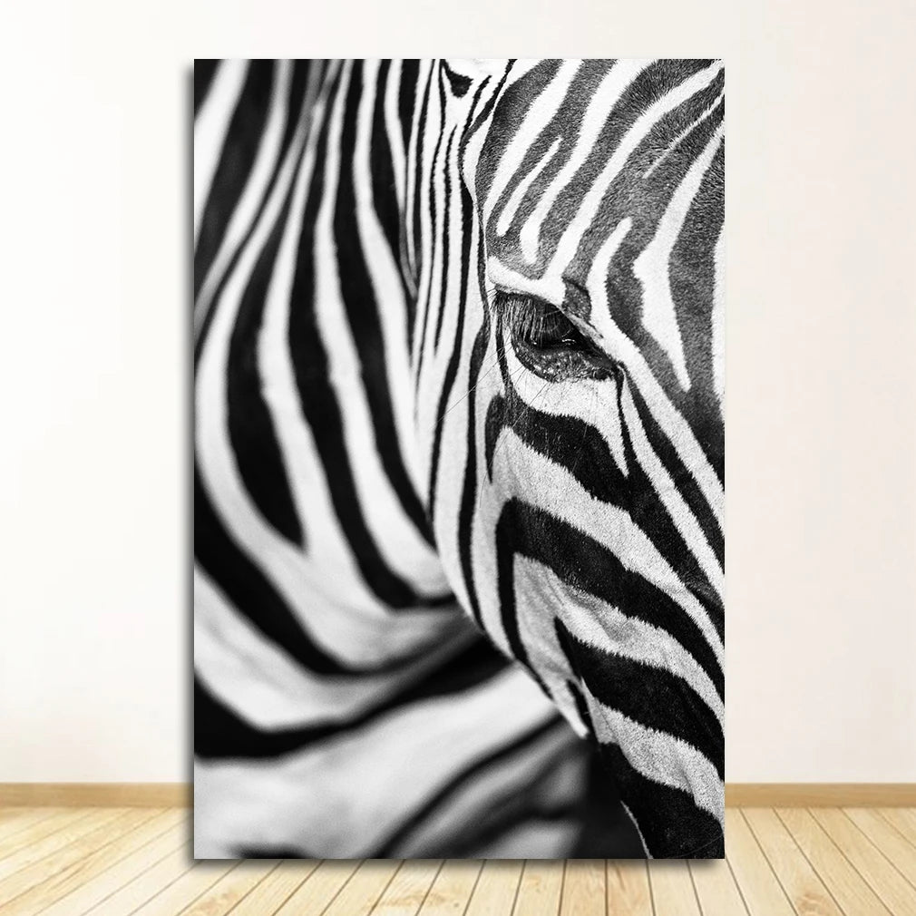 Black & White Animal Canvas Wall Art | Zebra Lion Leopard