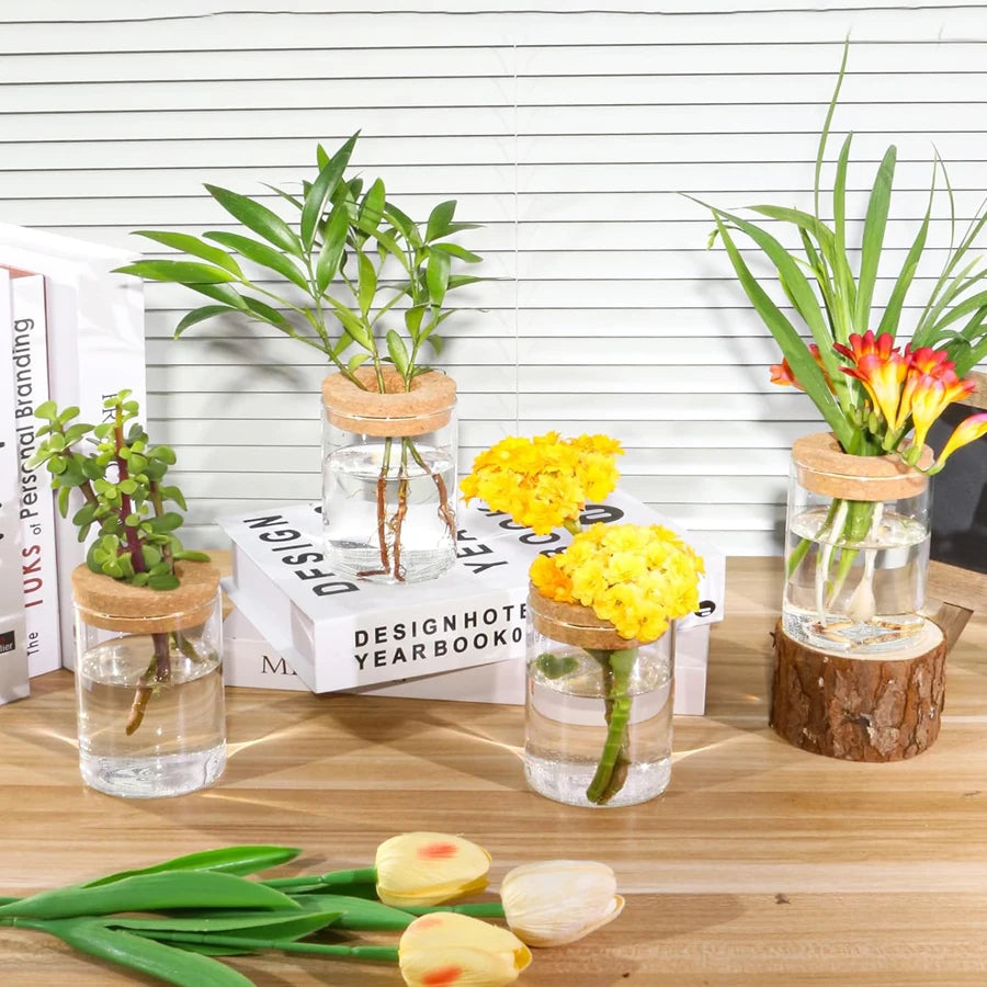 Plant Propagation Station – Hydroponic Acrylic Vase Planter Jars for Desk, Home Garden Decor & Gifts