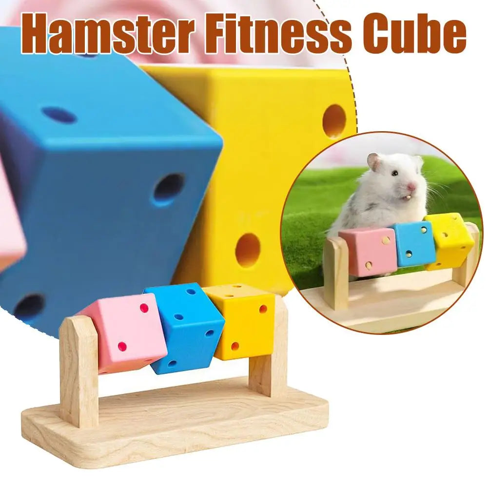 Hamster Fitness Cube – Colorful Wooden Activity Toy for Small Pets