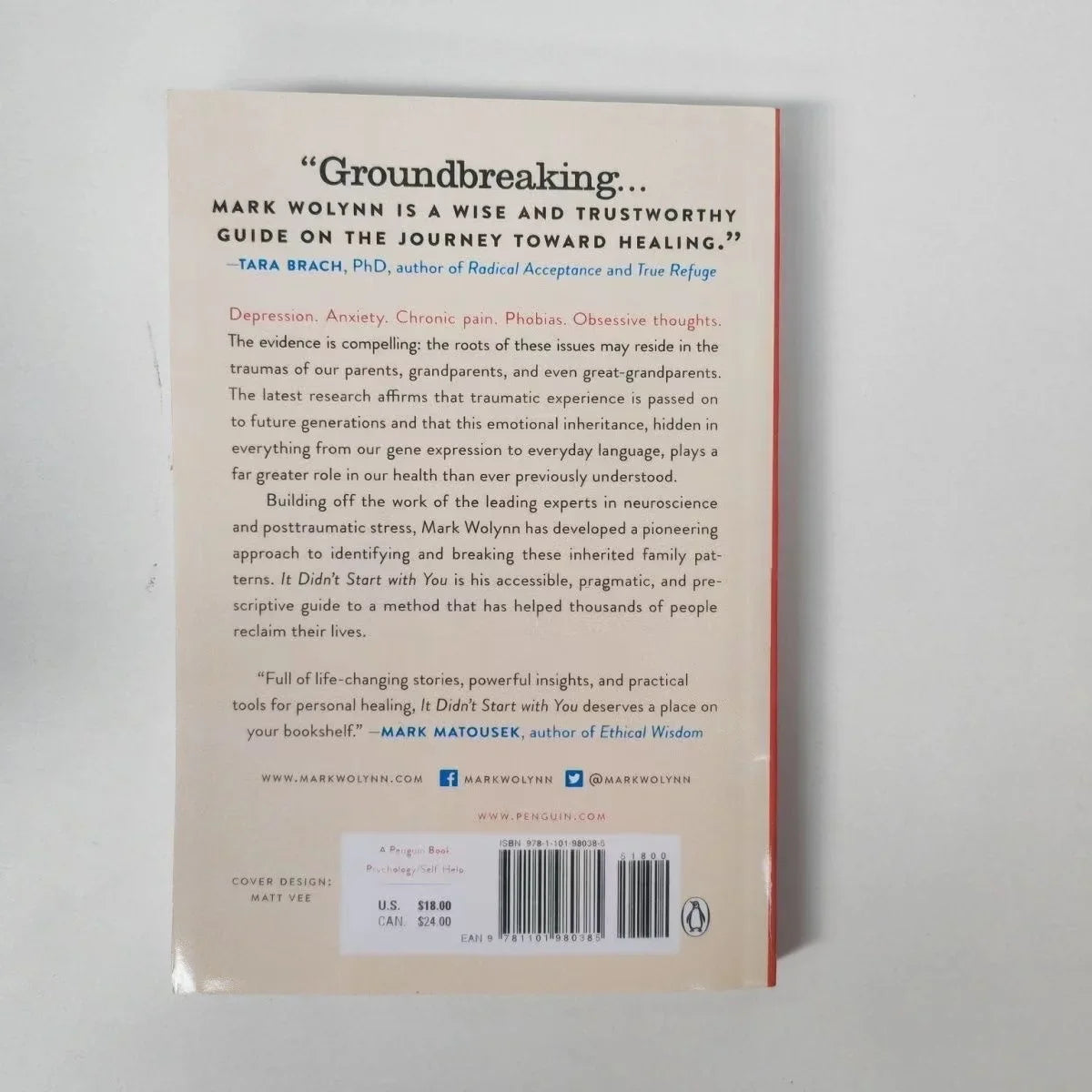 It Didn't Start You Mark Wolynn How Inherited Family Trauma Shapes