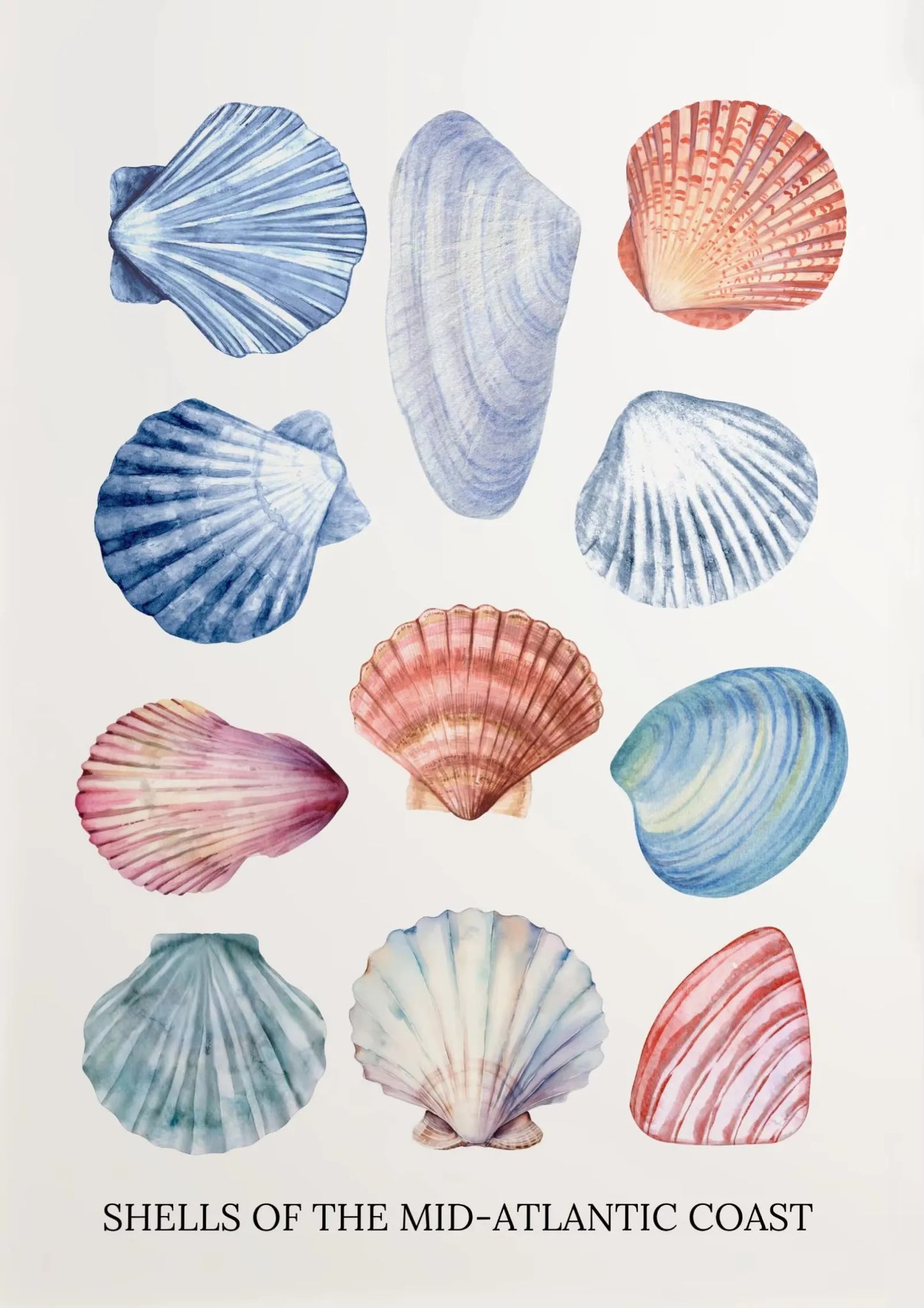 Blue Coastal Sketch Canvas Wall Art – Starfish Jellyfish Print