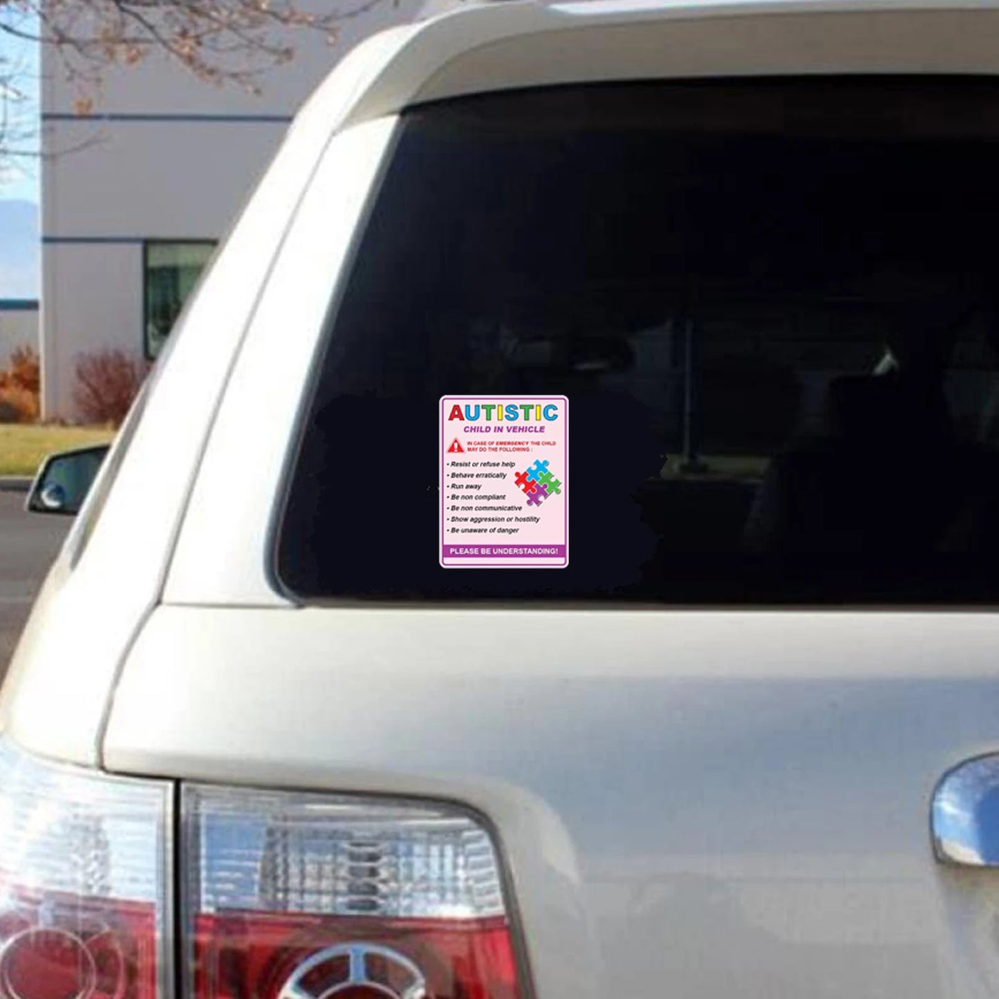 2Pack Autistic child in vehicle sticker decal autism awareness car truck window safety pink3.75x5inch Peaceful Pleasures Health and Wellness