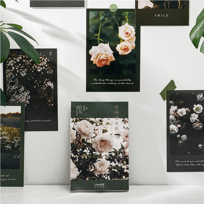 Beautiful Begonia Flower Clear Night Sky Series Postcard INS Greeting