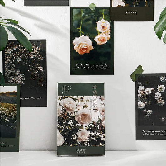 Beautiful Begonia Flower Clear Night Sky Series Postcard INS Greeting Peaceful Pleasures Health and Wellness