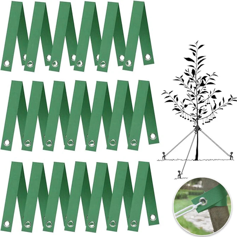 Green Tree Staking Straps for Saplings & Storm Protection Tree Staking Straps Peaceful Pleasures Health and Wellness