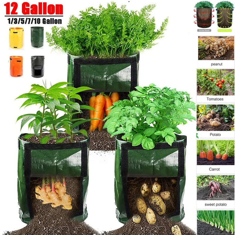 Potato Grow Bags 1–12 Gallon | Vegetable Planter with Flap