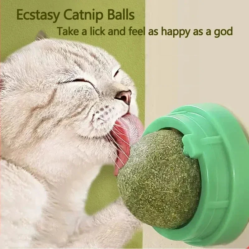 Rotating Catnip Ball Cat Toy – Interactive Lick & Scratch