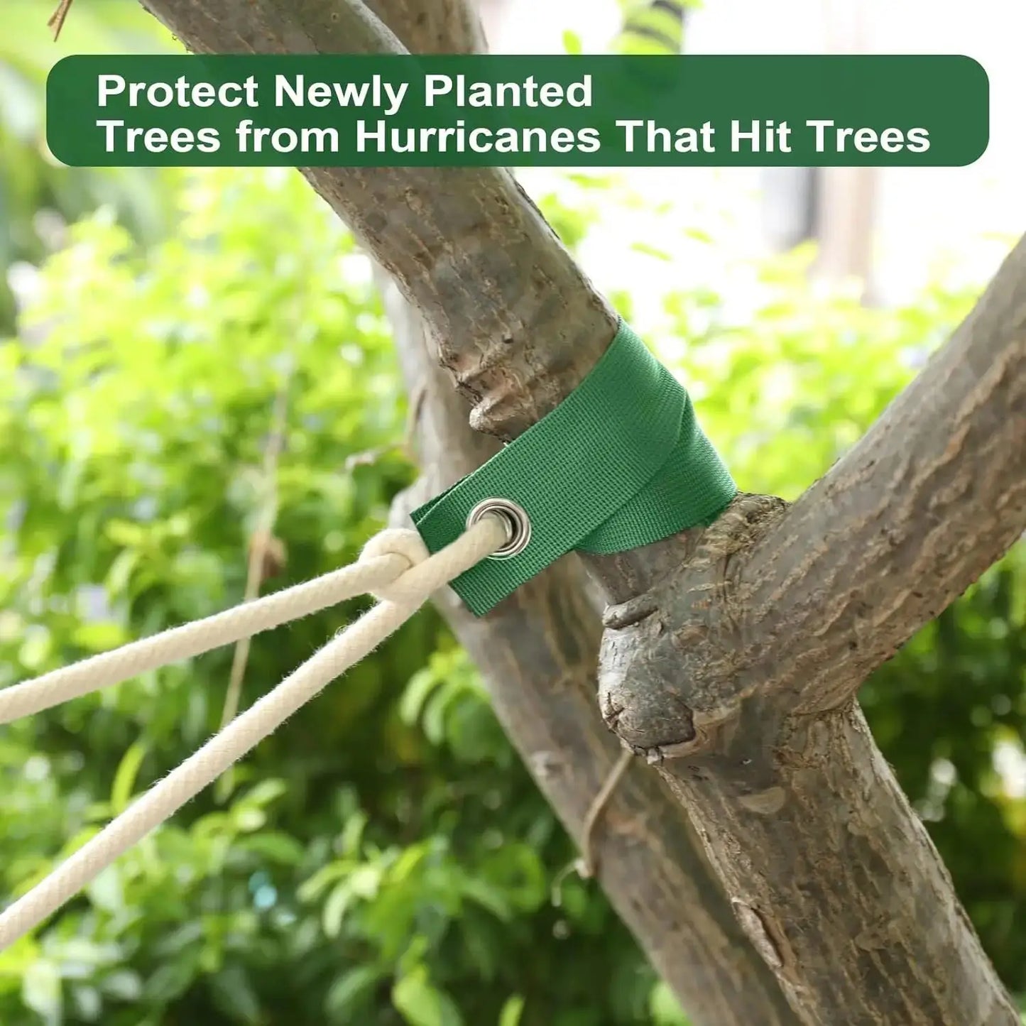 Green Tree Staking Straps for Saplings & Storm Protection Tree Staking Straps Peaceful Pleasures Health and Wellness
