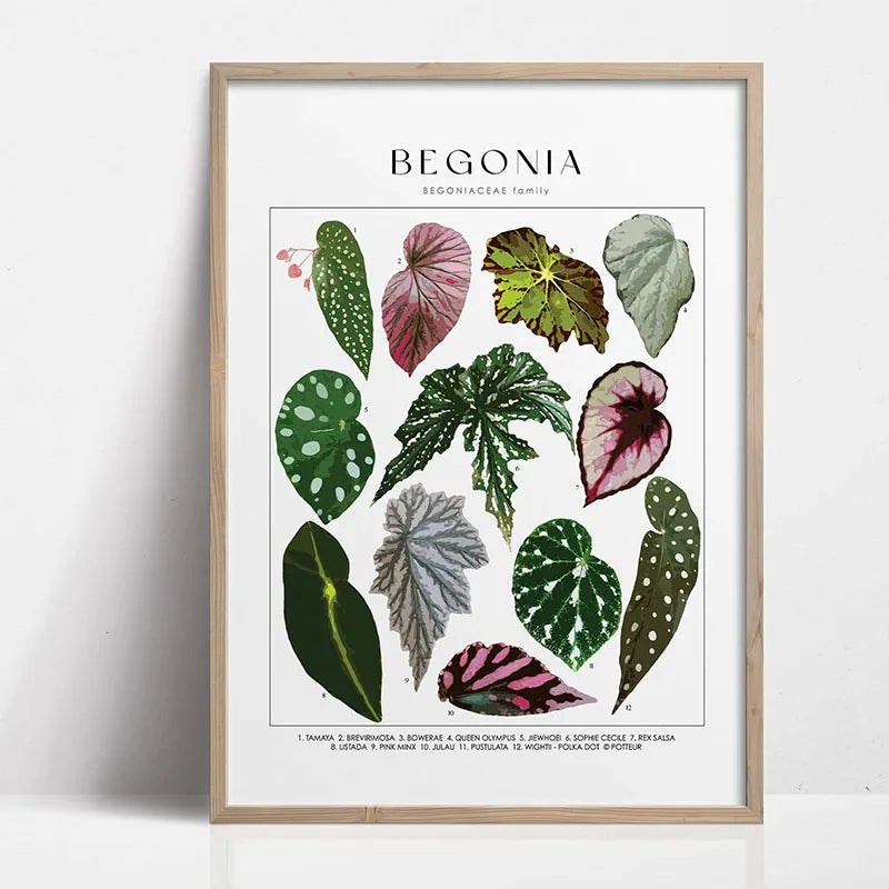 Green Botanical Leaves Canvas Wall Art Houseplants Nature Indoor Home Decor Calming Foliage And Plant Interior Poster Peaceful Pleasures Health and Wellness WS1010-12 40x60cm Unframed