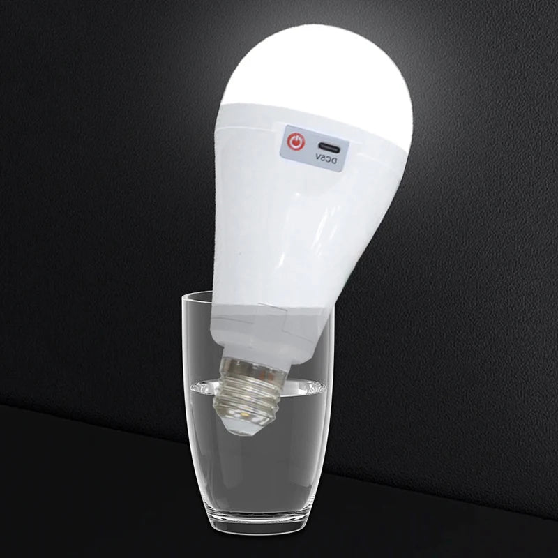 Flicker-Free LED Bulb Light Portable 20W 30W Emergency Bulb Courtyard Outdoor Bulb Removable Battery LED Charging Light Bulb Peaceful Pleasures Health and Wellness