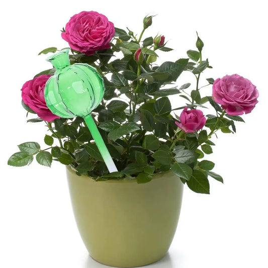 Cactus Glass Self-Watering Plant Bulbs | Automatic Feeder Self-Watering Plant Bulb Oasis Select