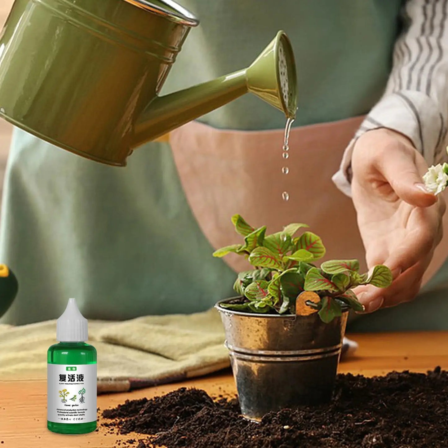 Plant Revitalizer Liquid – Organic Nutrient Solution for Fast Growth