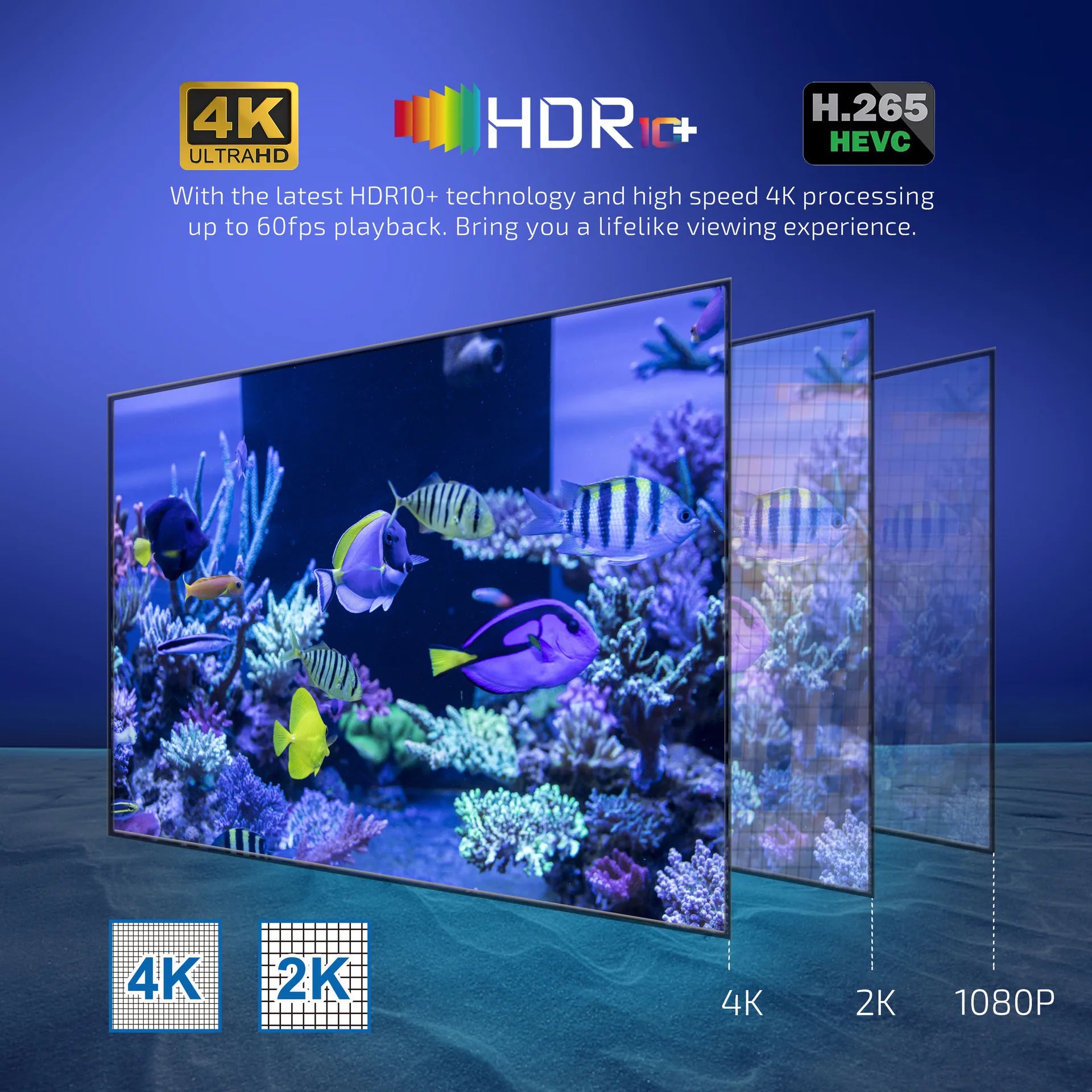 X98Q Smart TV Box Amlogic S905W2 Android 11 1/2GB RAM 8/16GB ROM Dual WiFi 100M Ethernet 4K UHD Media Player Set Top Box Peaceful Pleasures Health and Wellness