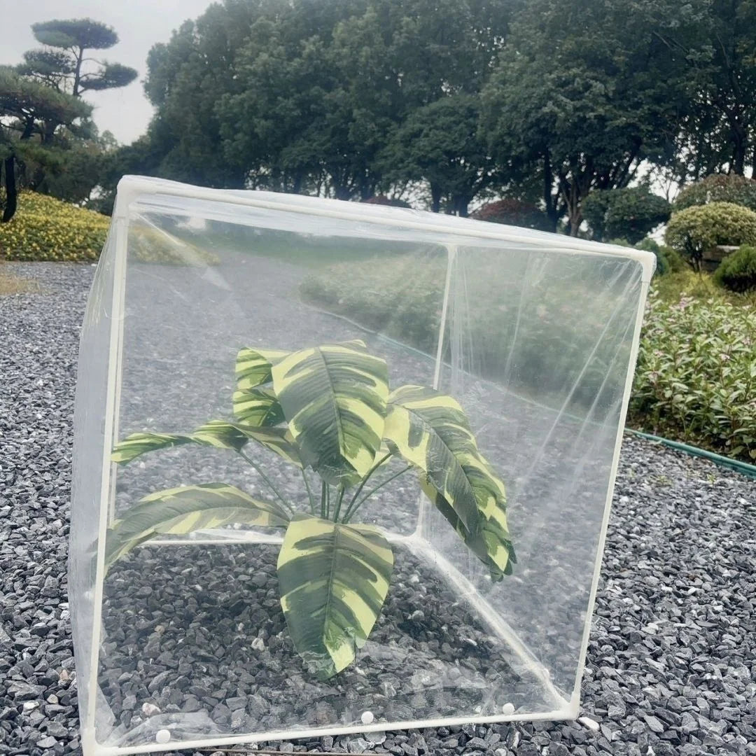 Portable Mini Greenhouse with PVC Cover & Bracket | Indoor/Outdoor