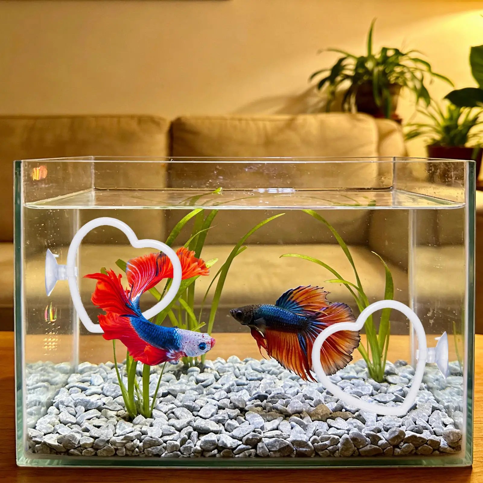 Betta Exercise Ring with Filter Balls 2PCS Interactive Enrichment Toy, Fish Play Training for Swimming Feeding, Aquarium Toy Peaceful Pleasures Health and Wellness
