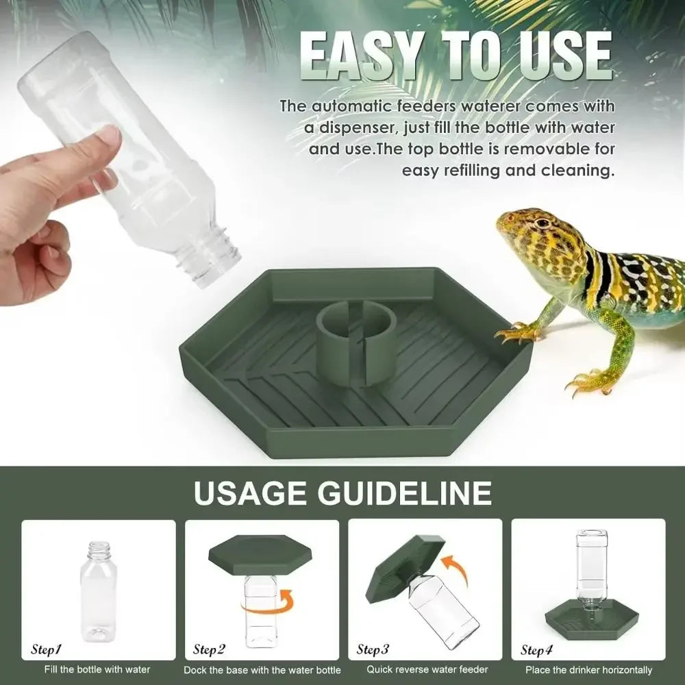 Turtle Water Bowl Anti-Slip Reptile Feeder | Vivarium Dish