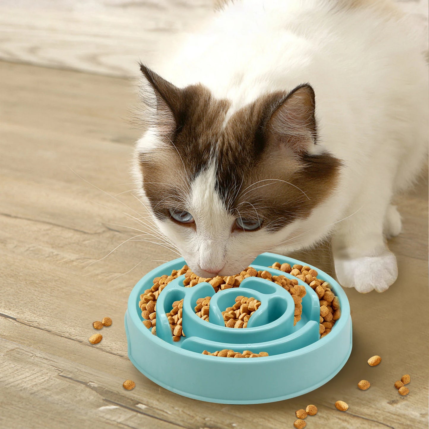 Pet Dog Slow Feeder Bowl Fun Non Slip Anti-gulping Slower Food