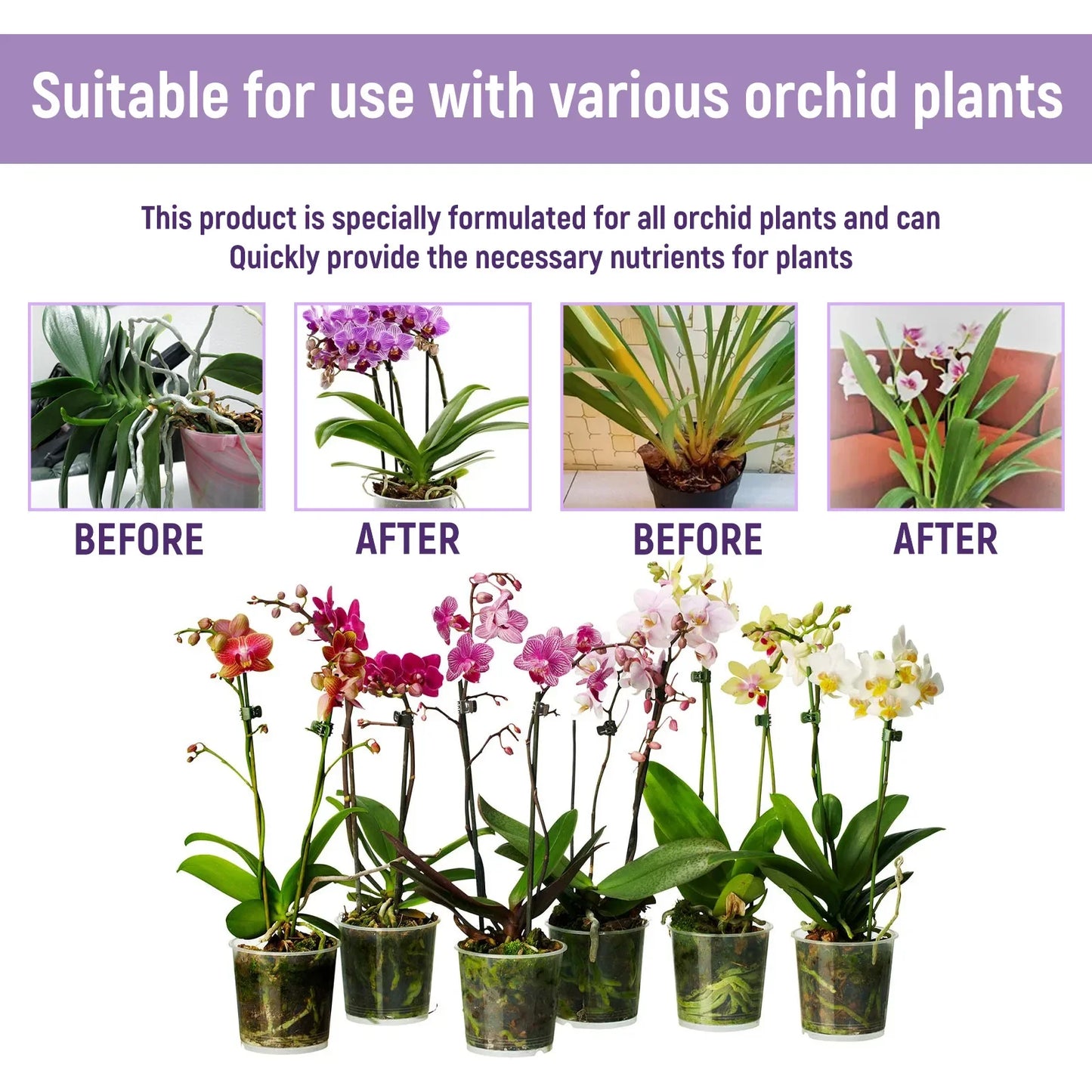 Orchid Liquid Fertilizer 50ml | Fast-Absorbing Plant Nutrient