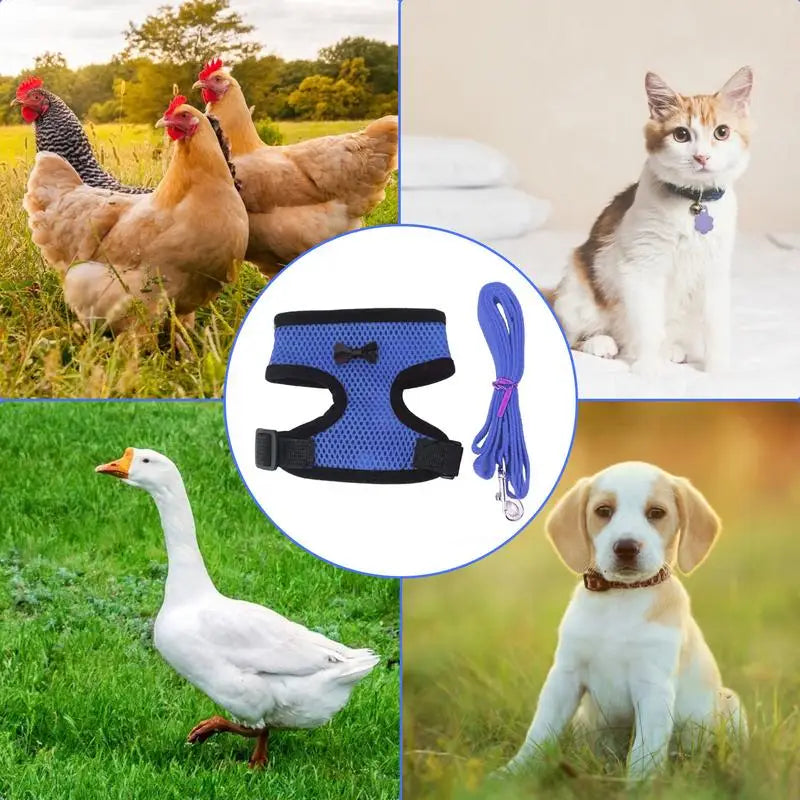 Chicken Harness For Hens Adjustable Chicken Traction Rope Harness Comfortable Hen Vest Pet Supplies 3.6Ft Training Rope For Hens Peaceful Pleasures Health and Wellness