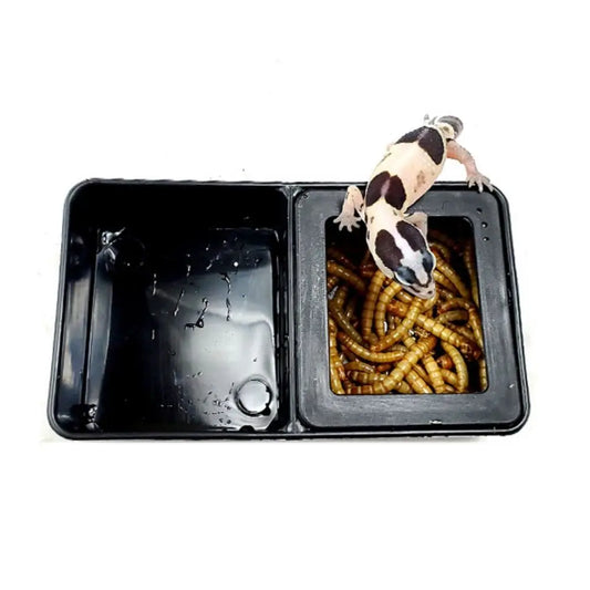 2-in-1 Anti-Escape Reptile Feeding Bowl | Worm & Feeder Dish Reptile Feeder Bowl Oasis Select
