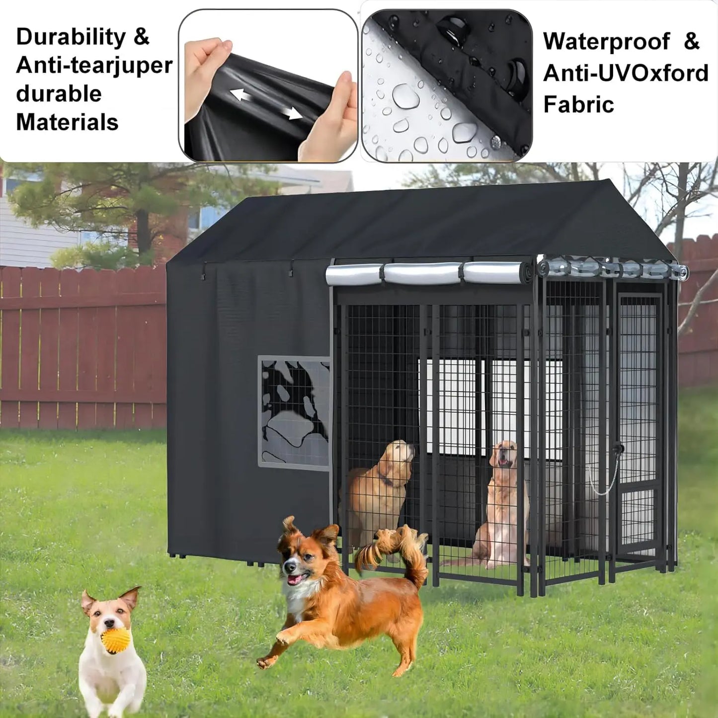 Outdoor dog kennel with dogs playing outside, featuring durability and waterproof materials.
