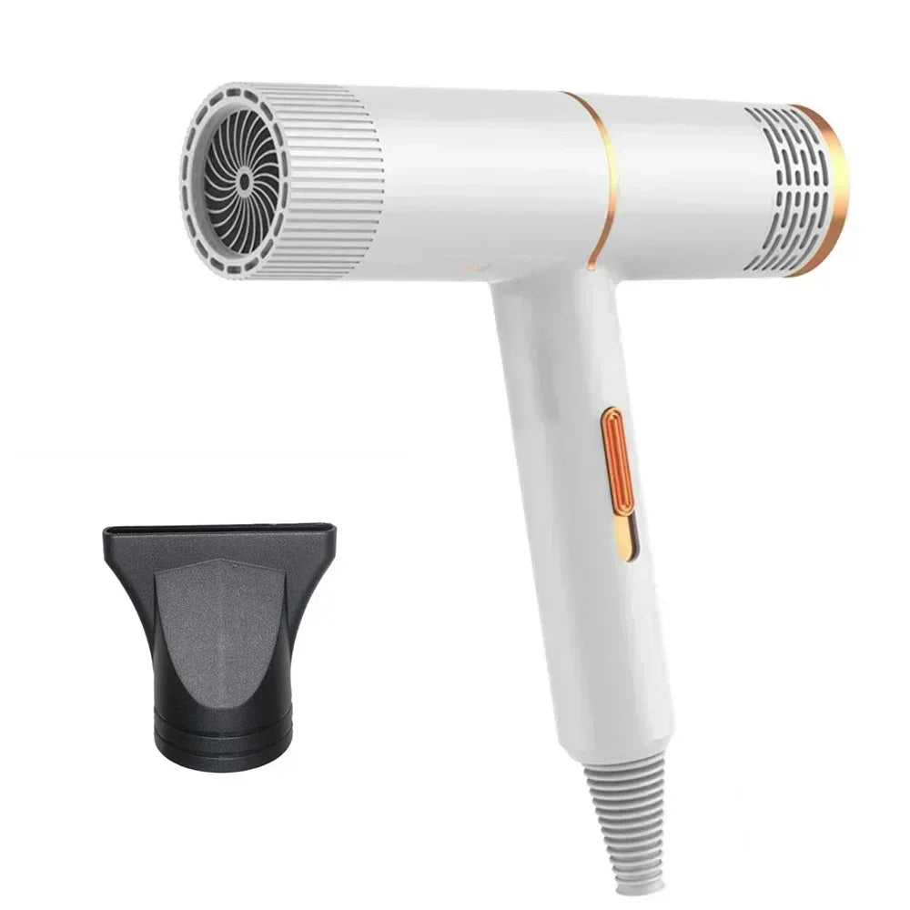 Professional Hair Dryer 110V/220V, Powerful Fast Heating High-speed Styler for Home and Dormitory Salon Use Peaceful Pleasures Health and Wellness White US