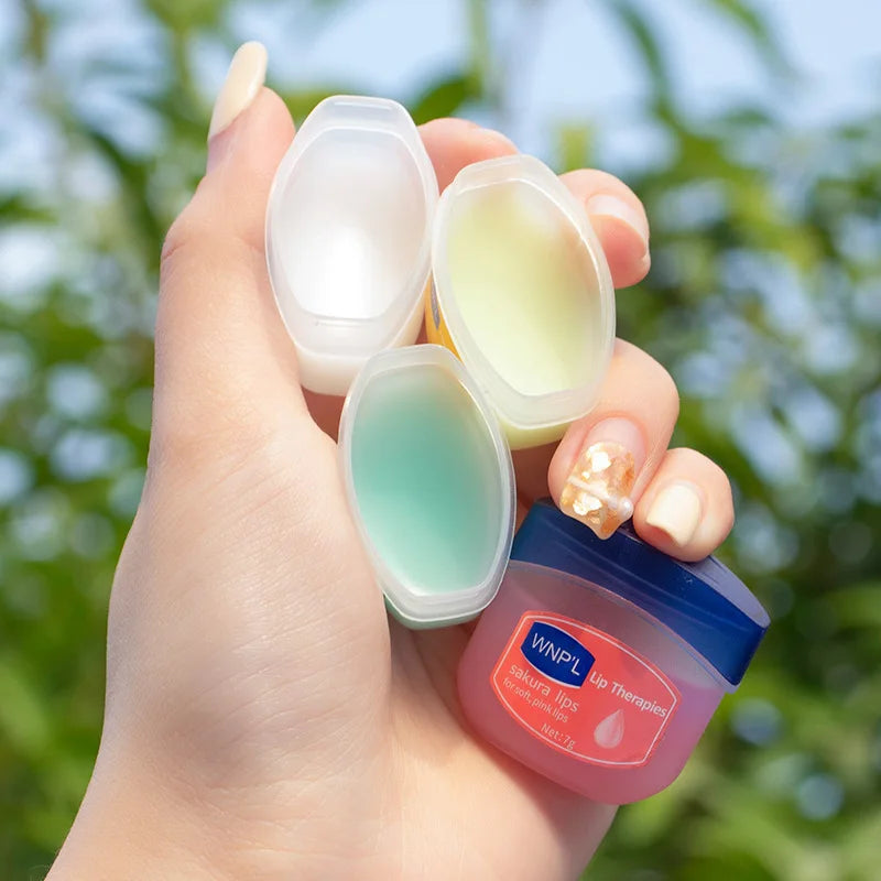 LGRAMER Natural Plant Lip Balm Set 4/6/8 Pcs – Jelly Moisturizer