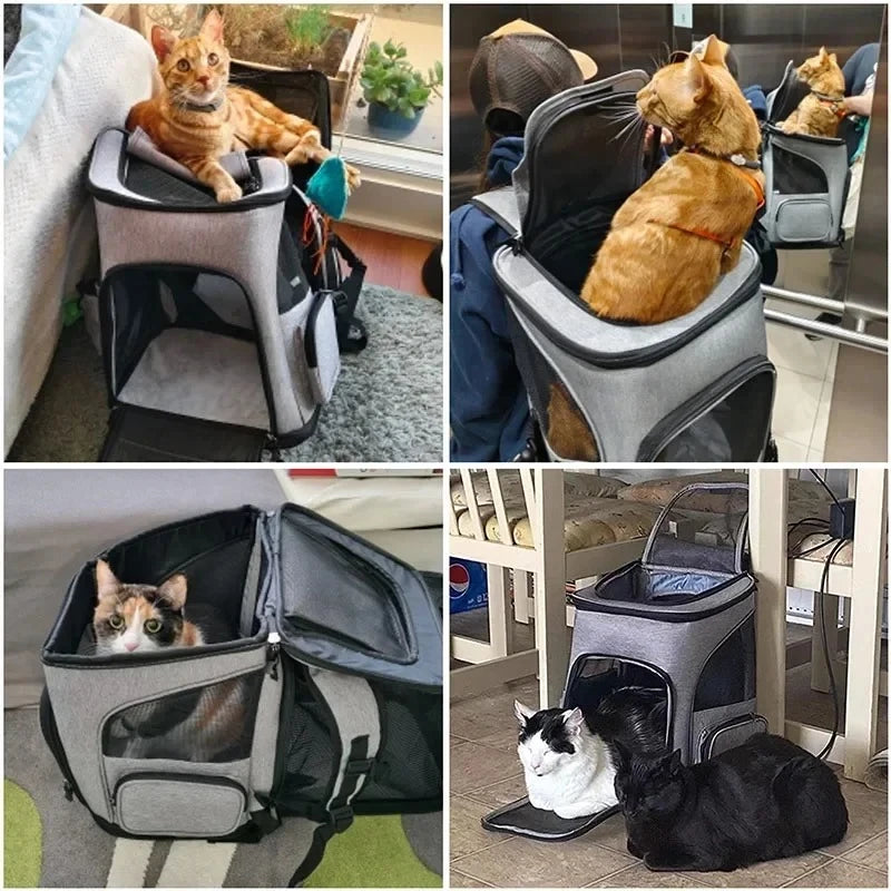 Breathable Foldable Expandable Large Capacity Creative Pet Carrier Backpack Travel Transport Bag for Cats Small Dogs Peaceful Pleasures Health and Wellness