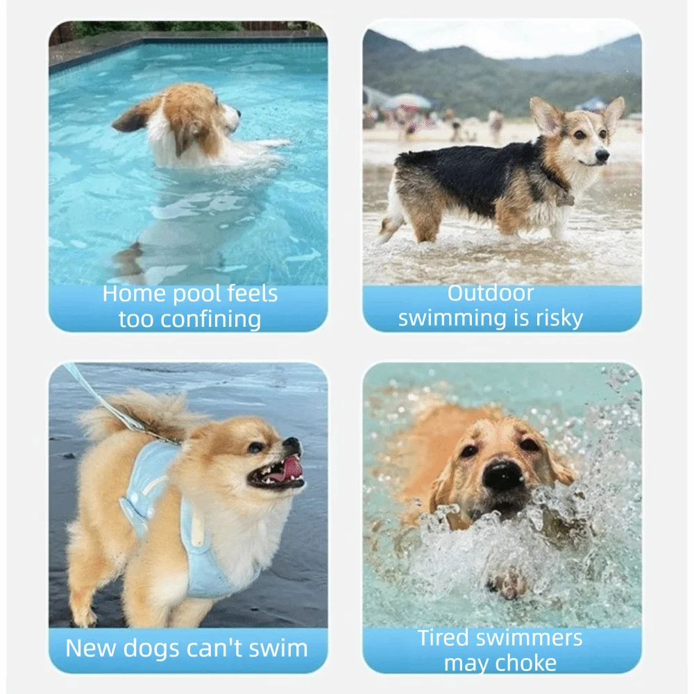 Adjustable Dog Life Jacket | Cartoon Swimming Vest XS–XXL