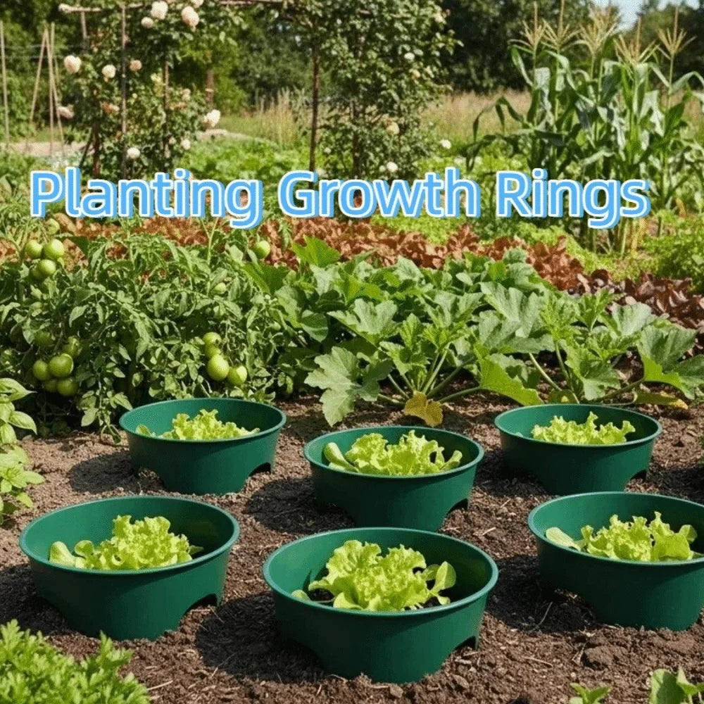 Deep Root Watering Rings for Garden Plants – 2 Pack