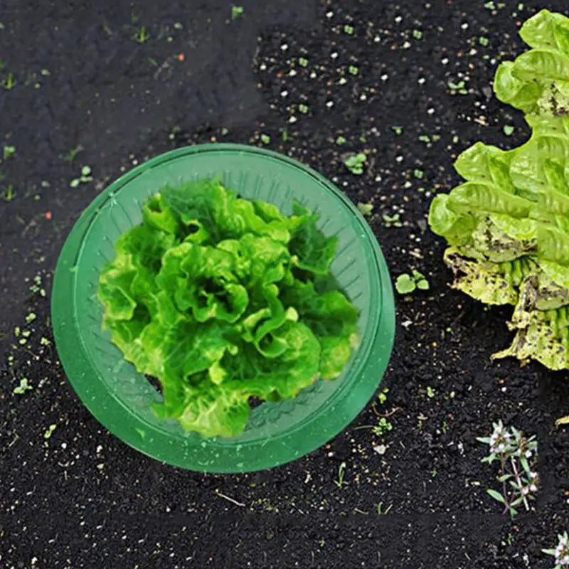 Plants Slug Protection Rings Vegetables Protective Cover Snail Collar Slug Garden Guard Protector Reusable PestControl Trapper Peaceful Pleasures Health and Wellness