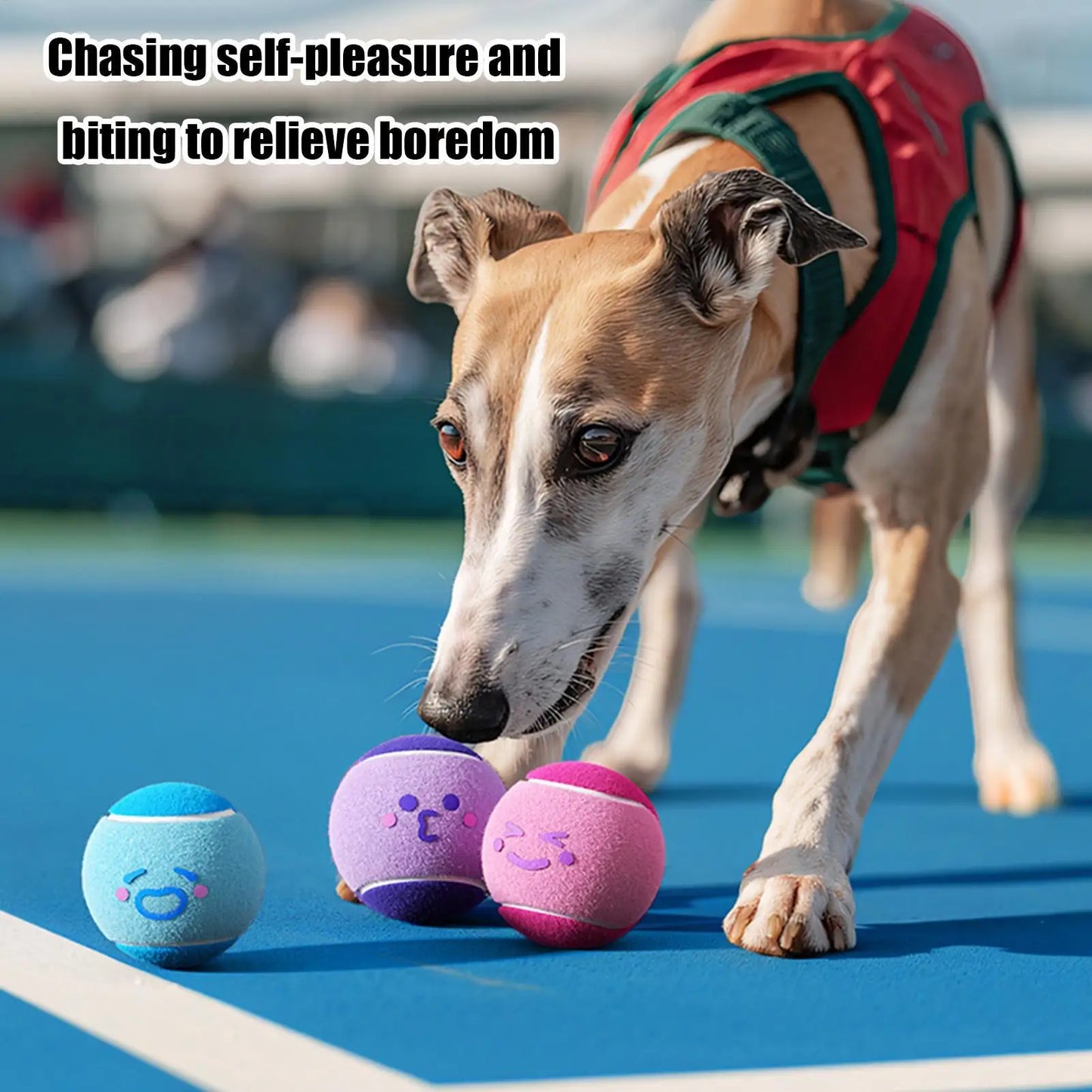 Dog Tennis Balls 6-Pack – Squeaky Fetch Toys for Puppies