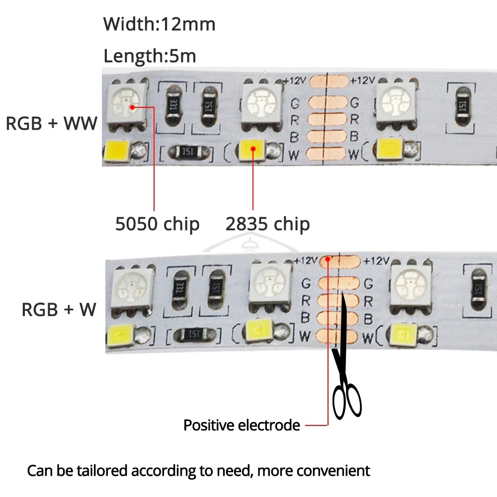 5M Double Row RGB LED Strip Light SMD 5050 DC 12V Flexible Neon