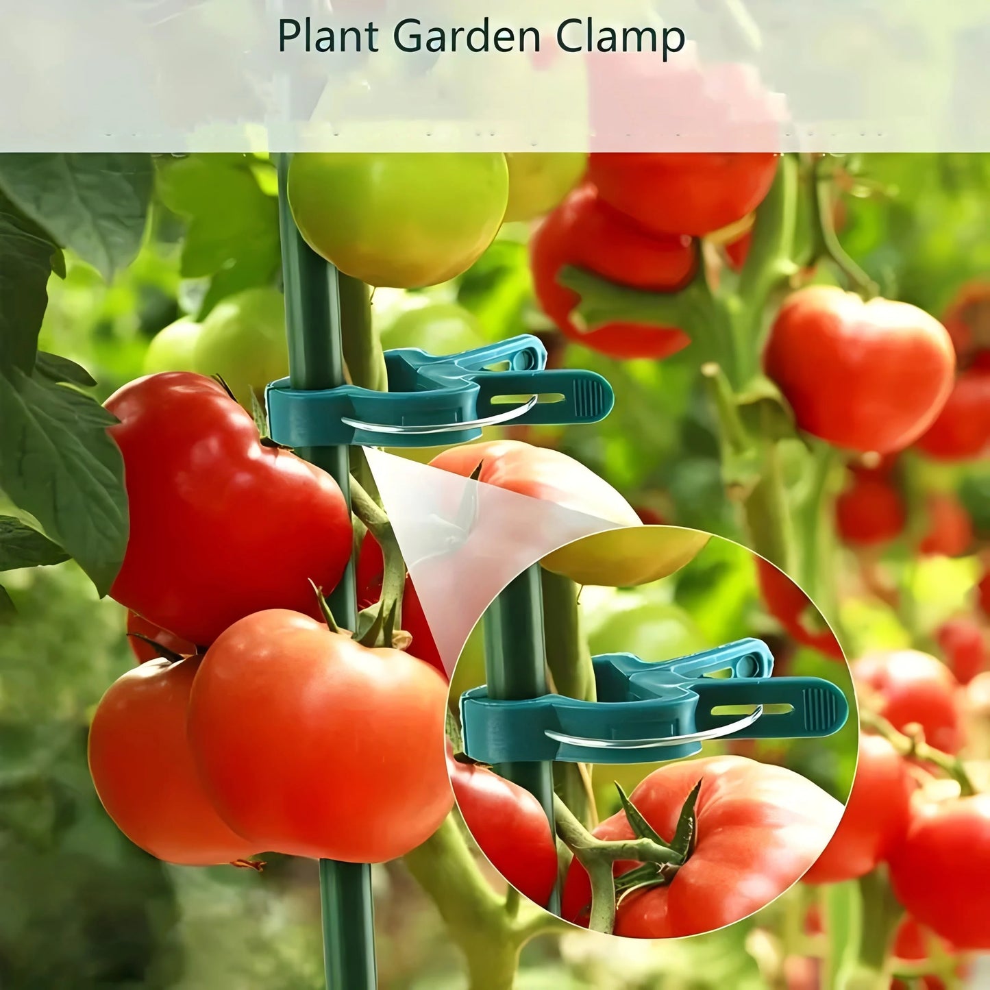 Plant Clips for Climbing Plants & Tomato Vine Support Garden Plant Clips Peaceful Pleasures Health and Wellness