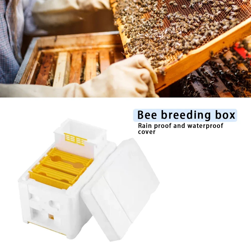 King Beehive Garden Beekeeping Kit – Foam Hive Box & Frame Holder Peaceful Pleasures Health and Wellness