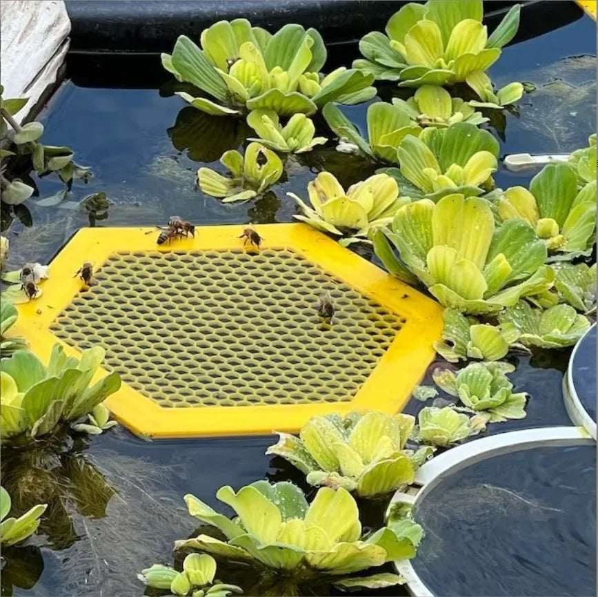 Anti-Drowning Bee Waterer – Hexagonal Acrylic Tray with Lure Cups for Beehive Hydration Peaceful Pleasures Health and Wellness