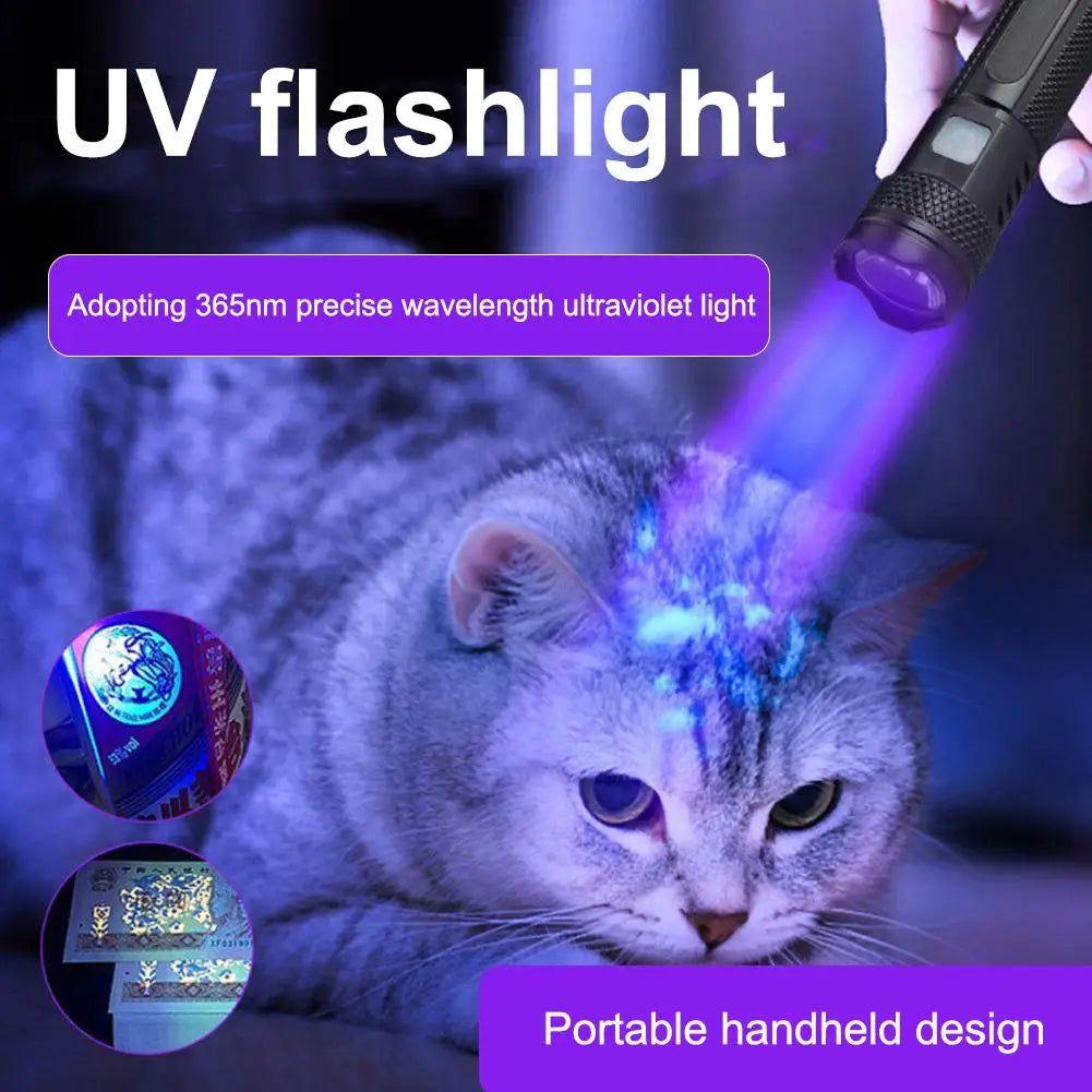 Rechargeable 365nm UV Flashlight – Mini Ultraviolet Torch