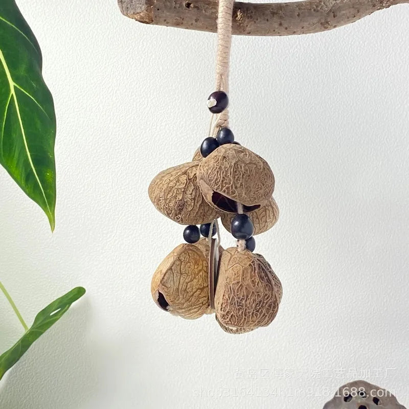 Nutshell Hand Rattle Imported Real Wind Bell String Backing Track
