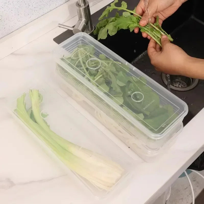 Transparent Herb & Scallion Fridge Storage Box | 1/3/5 Pack