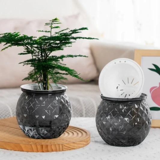 New Self Watering Hydroponic Plants Pot Plastic Removable Flowerpot Mini Succulent Planter Tabletop Vase Peaceful Pleasures Health and Wellness