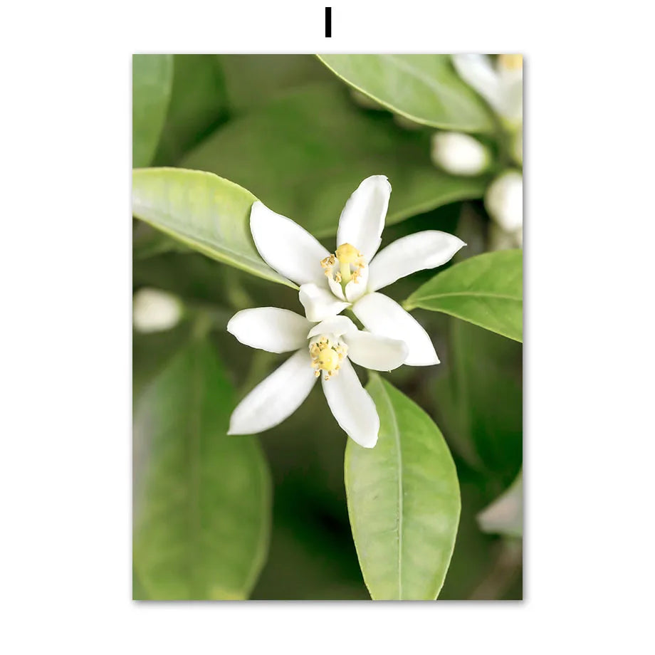 Mountain Waterfall Canvas Wall Art Poster | Nature Decor Print Canvas Wall Art Peaceful Pleasures Health and Wellness T80493-09 30x40cm Unframed