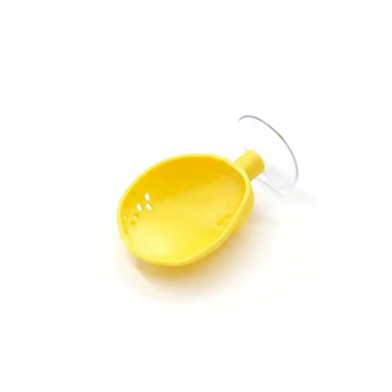 Shell Shaped Betta Feeding Dish with Suction Cup | Tank Decor