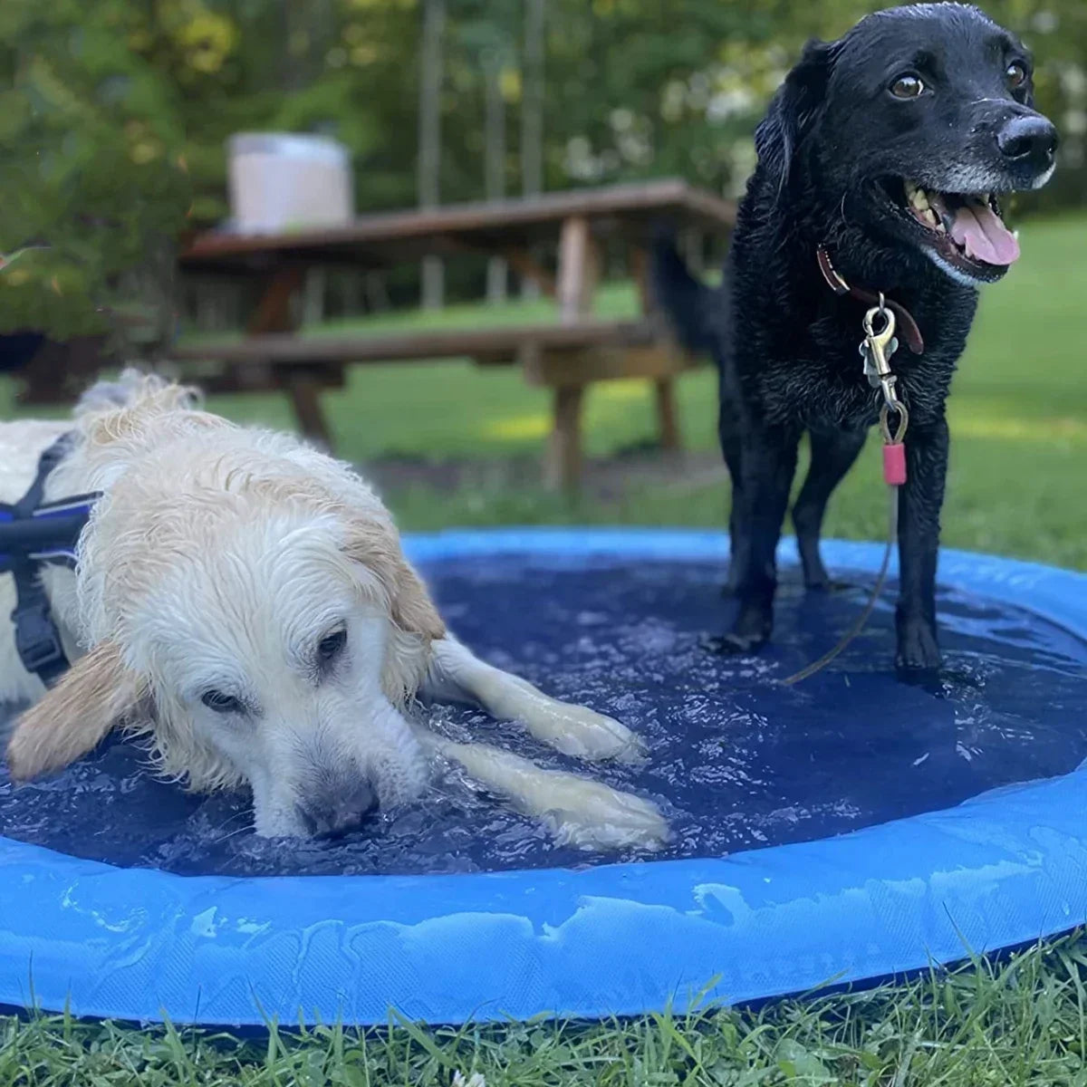 Inflatable Dog Splash Pad Sprinkler Pool | 100–200cm Sizes