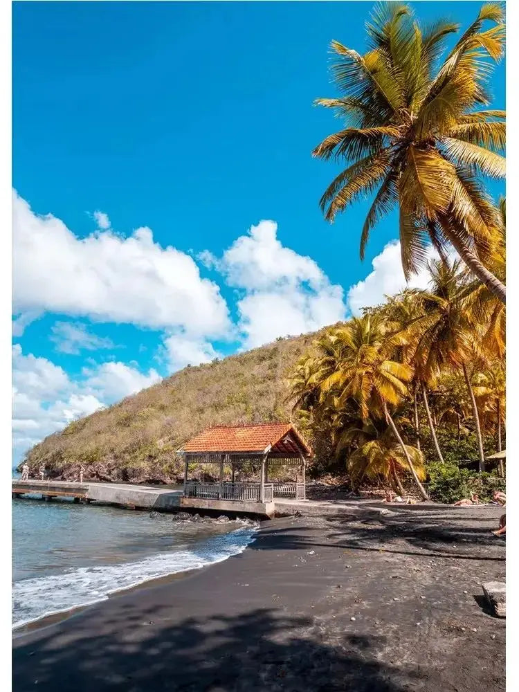 Martinique Beach Ocean Vintage Canvas Wall Art | Unframed Print