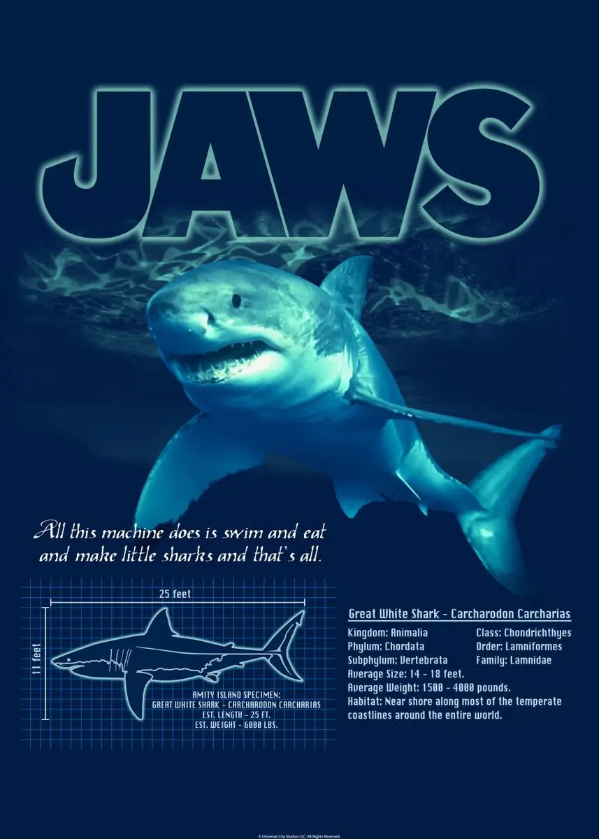 Jaws Posters Shark Canvas Painting Mordern Wall Art Picture Living Room Bedroom Home Decor American Classic Horrible Movie Peaceful Pleasures Health and Wellness T80296-08 40x60cm Unframed