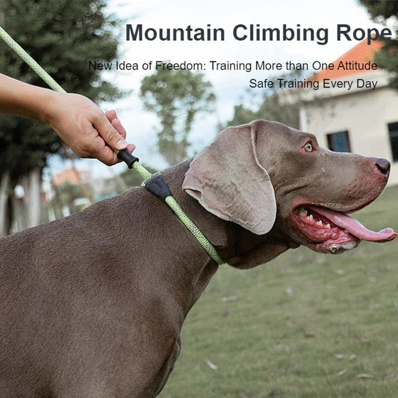 Truelove Slip Lead Training Leash for Dogs – TLL2575 Peaceful Pleasures Health and Wellness