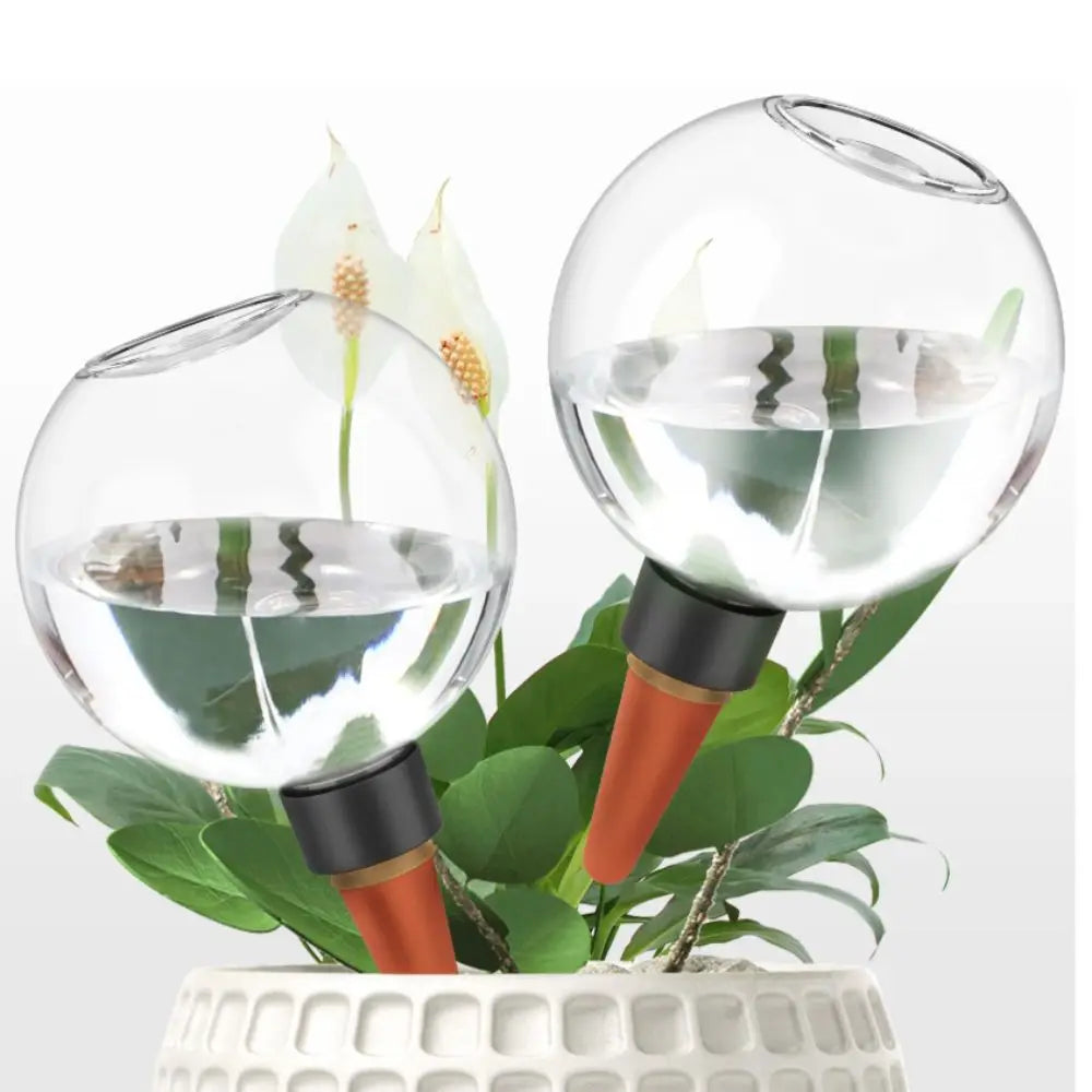 2-Pack Automatic Drip Irrigation Water Globes | 500ml & 80ml
