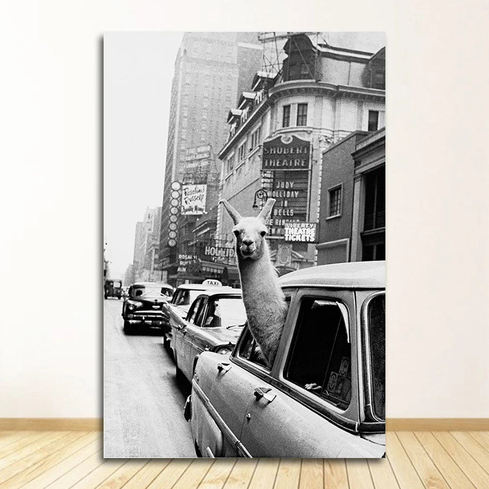 Llama in NYC Taxi Times Square Vintage Canvas Wall Art Print