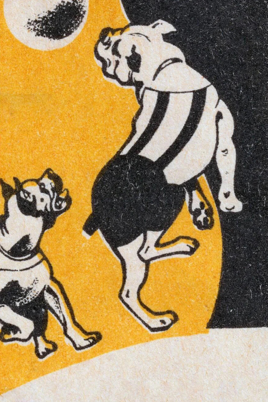 Vintage Eastern Europe Matchbox Canvas Wall Art – Geometric Animal
