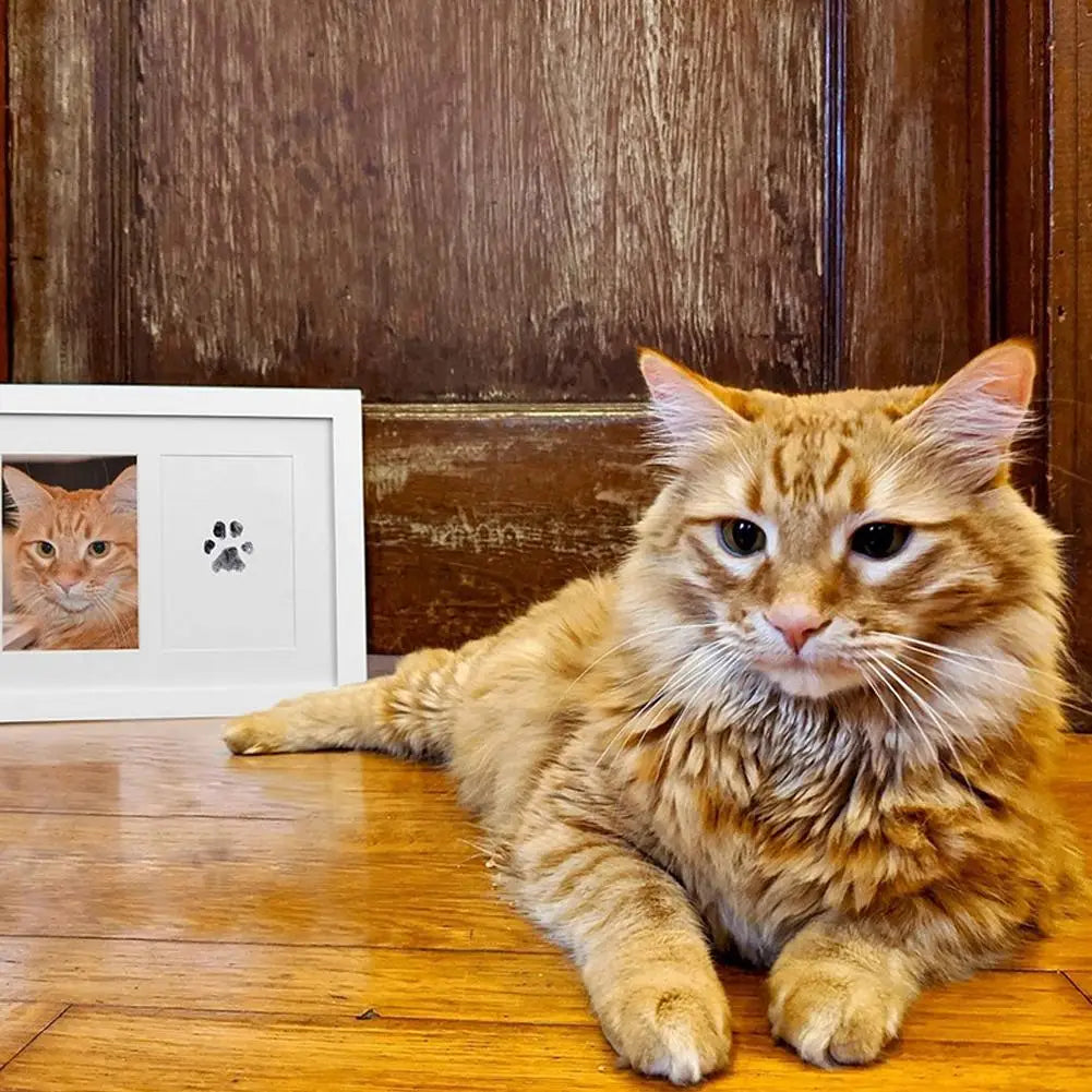 Disposable Non-dirty Claws Pet Footprint Ink Pad Printing Extension Commemorative Frame Cat Dog Souvenir Paw DIY Pet Photo Album Peaceful Pleasures Health and Wellness
